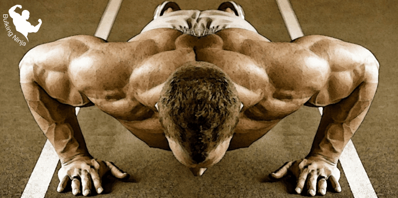Are Pushups Good For Building Muscle?  Best Easiest Guide for Beginners (2023)