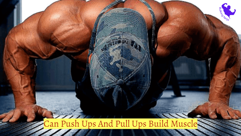 Can Push Ups And Pull Ups Build Muscle? An Important instructions for Beginners (2023)