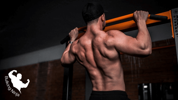 How many push-ups and pull-ups to build muscle-Can Push Ups And Pull Ups Build Muscle-https://bulkingninja.com/