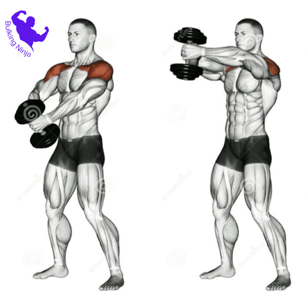 How to build muscle at home with dumbbells -Can You Gain Muscle With Just Dumbbells