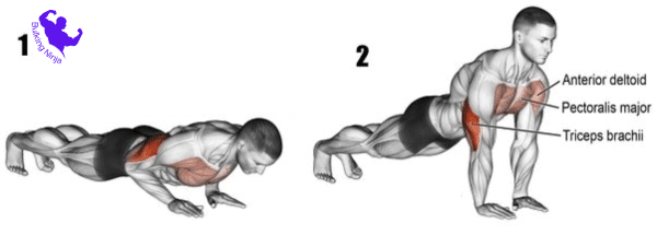 How to get started with push-ups and pull-ups?Can Push Ups And Pull Ups Build Muscle-https://bulkingninja.com/
