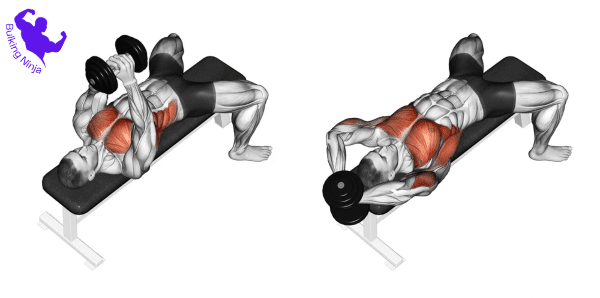 Pullover / Dumbbell Lying Tricep Extension -Can You Gain Muscle With Just Dumbbells-https://bulkingninja.com/