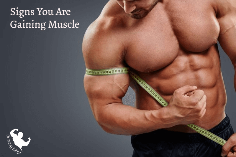 Signs You Are Gaining Muscle 1 1 