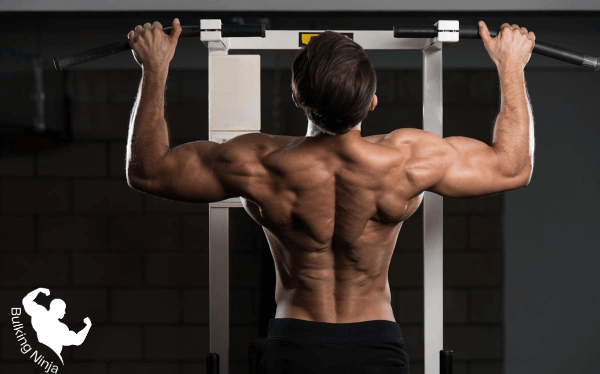 The Power of Pull-Ups-Can Push Ups And Pull Ups Build Muscle-https://bulkingninja.com/