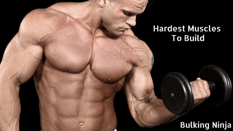 What is the Hardest Muscle to Grow? Best Easiest Guide for Beginners (2023)