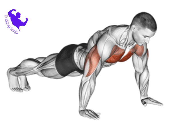 are pushups good for building muscles