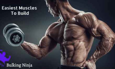 What Are The Easiest Muscles To Build? Supercharge Your Muscle Growth (2023)