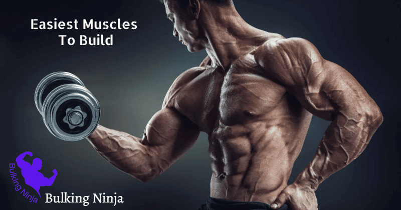 What Are The Easiest Muscles To Build? Supercharge Your Muscle Growth (2023)