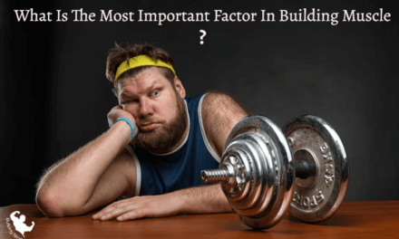 What is The Most Important Factor in Building Muscle (2023)