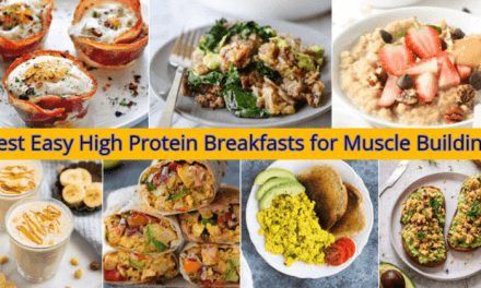 Best Easy High Protein Breakfasts for Muscle Building: Best diet for strong Bodybuilders (2023)