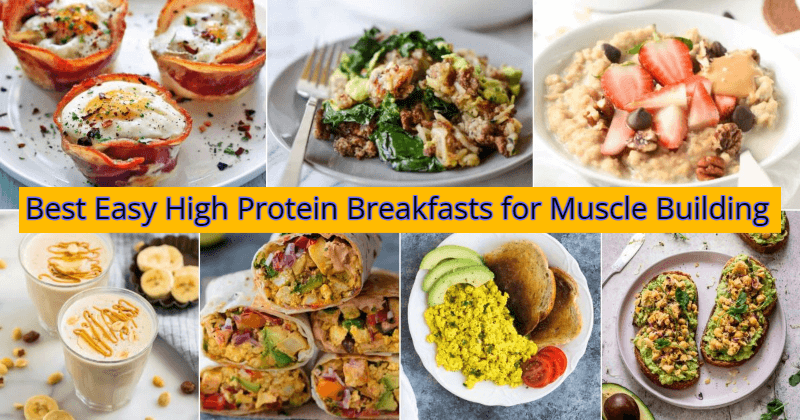 Best Easy High Protein Breakfasts for Muscle Building: Best diet for strong Bodybuilders (2023)