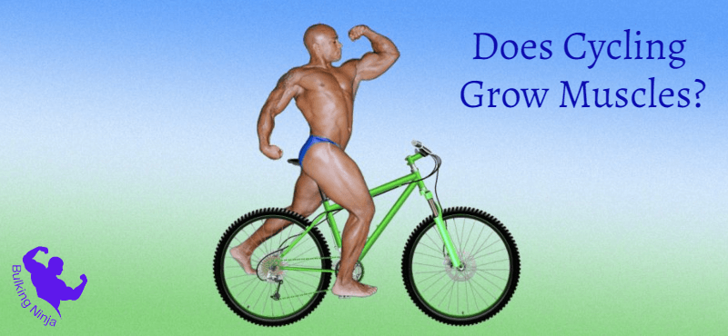 Does Cycling Grow Muscles? Easiest Away of Growing muscles for beginners (2023)