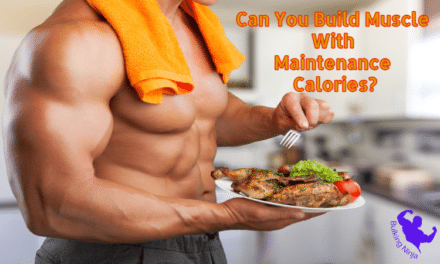 Can You Build Muscle With Maintenance Calories? Best Diet Makes Good Health 2023