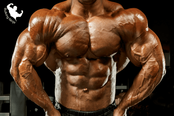 https://bulkingninja.com/can-you-gain-muscle-from-strength-training/