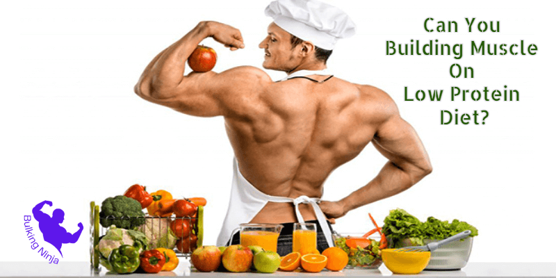 Can You Building Muscle On Low Protein Diet? Best Diet makes Good Muscles  2023