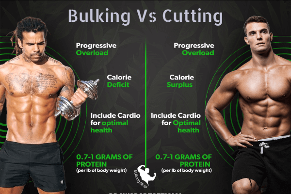 https://bulkingninja.com/who-is-the-best-bulking-or-cutting/