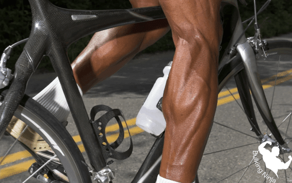 Which Muscles Does Cycling Strengthen And Build-Does Cycling Grow Muscles-https://bulkingninja.com/