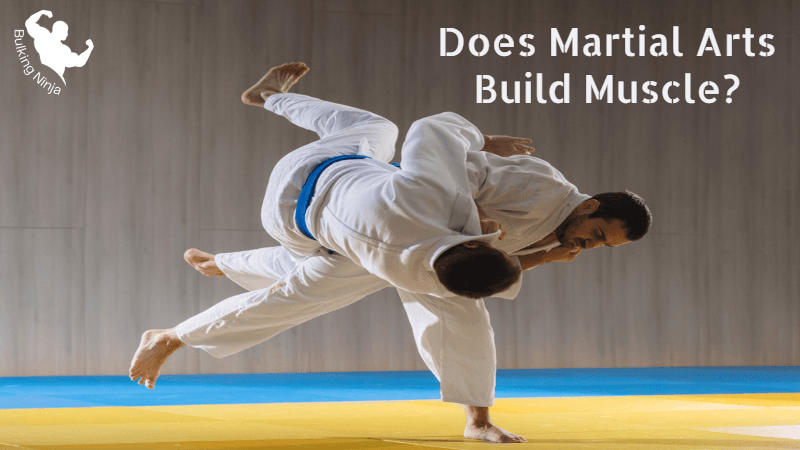 Does Martial Arts Build Muscle? Best MMA guide for Beginners (2023)