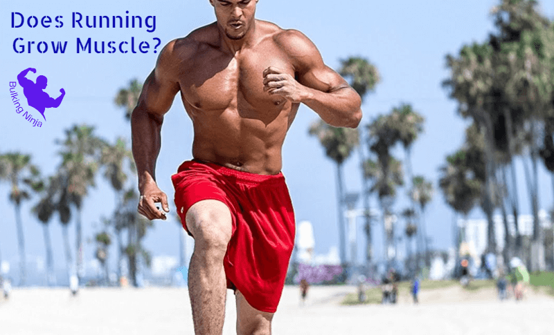 Does Running Grow Muscle? Best Exercise Guide for Beginners (2023)