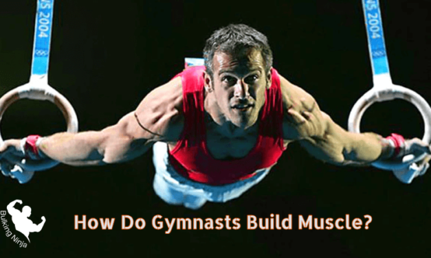 How Do Gymnasts Build Muscle? Best Sports provide Strong Muscles 2023