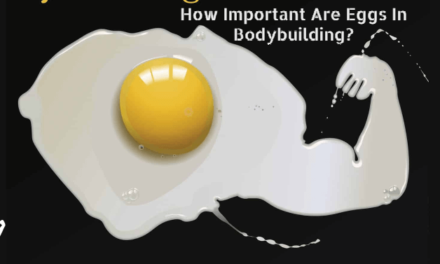 How Important Are Eggs In Bodybuilding? Best diet for easy gain Muscles about beginners 2023