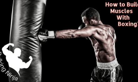 How to Build Muscles With Boxing? Best game guide  makes you Strong (2023)