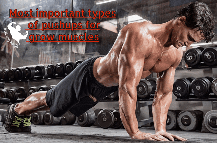 Most Important Types of Pushups for Grow Muscles : Best easy guide tips for beginners (2023)