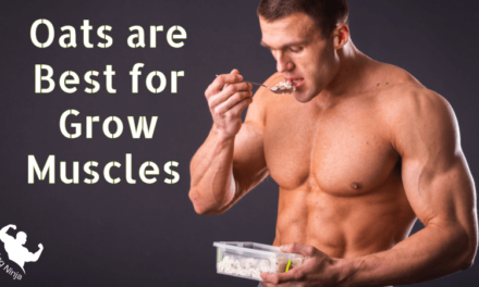 Oats are Best for Grow Muscles : Best Diet makes Strong Muscles 2023