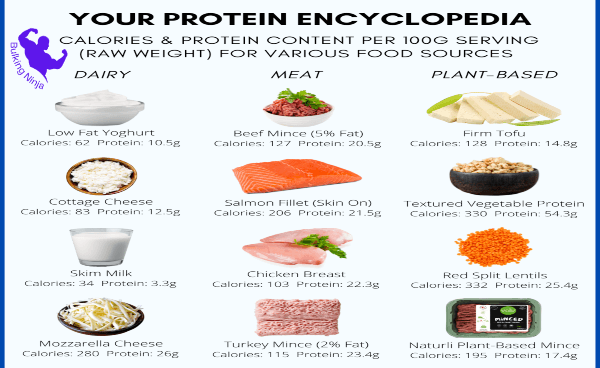 https://bulkingninja.com/Can-You-Building-Muscle-On-Low-Protein-Diet/