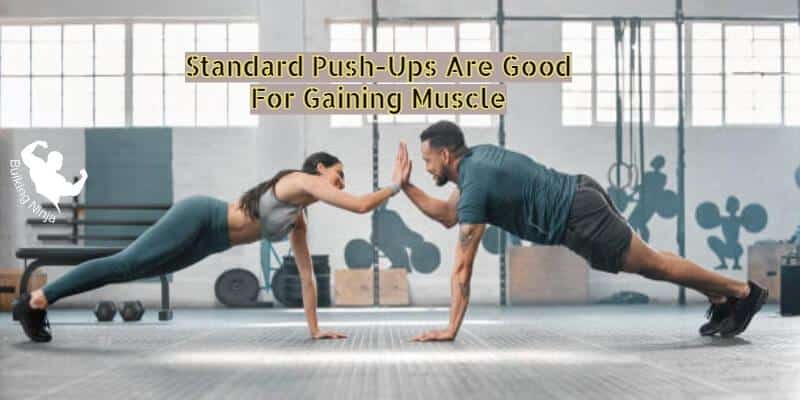 Standard Push-Ups Are Good For Gaining Muscle : Best guide for Beginners (2023)