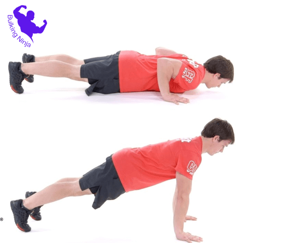 -Most important types of pushups for grow muscles://bulkingninja.com/