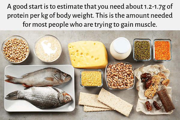 https://bulkingninja.com/Can-You-Building-Muscle-On-Low-Protein-Diet/