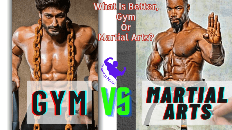 What Is Better, Gym Or Martial Arts? Best Choice for Grow Muscles 2023