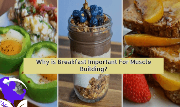 Why is Breakfast Important For Muscle Building? Best Diet tips 2023