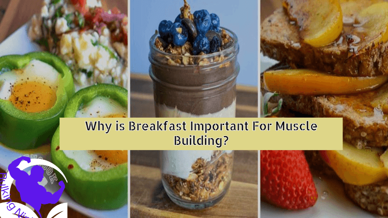 Why is Breakfast Important For Muscle Building? Best Diet tips 2023