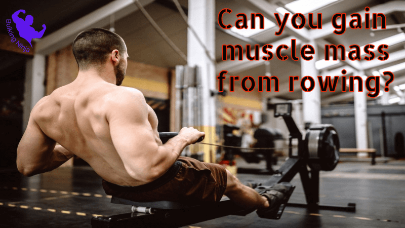 Can You Gain Muscle Mass From Rowing? Best Indoor Exercise for Beginners 2023