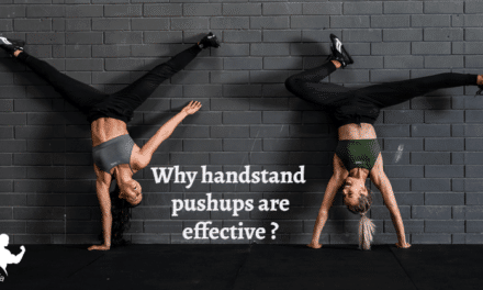 Why Handstand Pushups are Effective? Best Guide for Beginners (2023)
