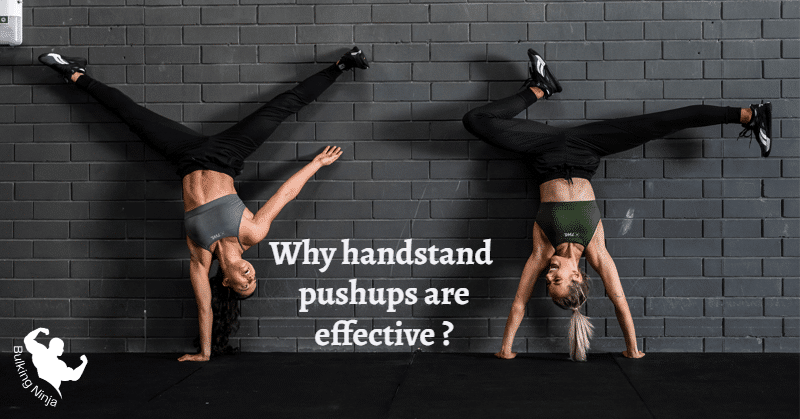 Why Handstand Pushups are Effective? Best Guide for Beginners (2023)