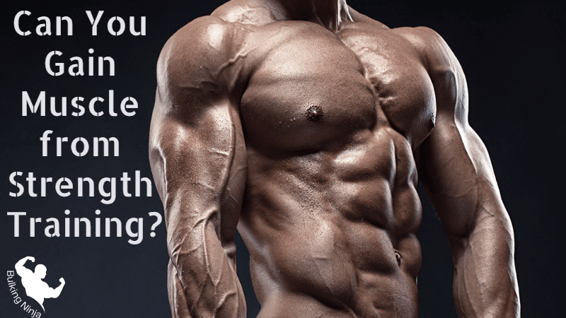 Can You Gain Muscle from Strength Training? Best Training guide for Beginners 2023