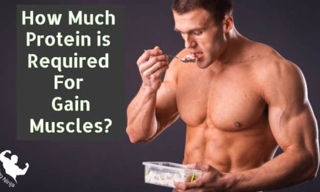 How Much Protein is Required For Gain Muscles? Best diet plan for easy grow muscles 2023