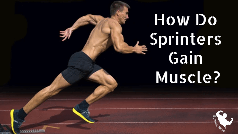 How Do Sprinters Gain Muscle? Best sport activities can you provide Strength 2023