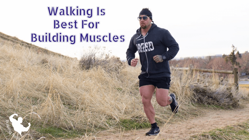 Walking Is Best For Building Muscles : Easy journey of fitness for beginners 2023