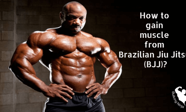 How to gain muscle from Brazilian Jiu Jitsu (BJJ)? Best sport helps for grow muscles 2023