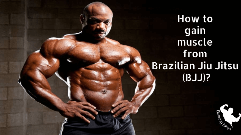 How to gain muscle from Brazilian Jiu Jitsu (BJJ)? Best sport helps for grow muscles 2023