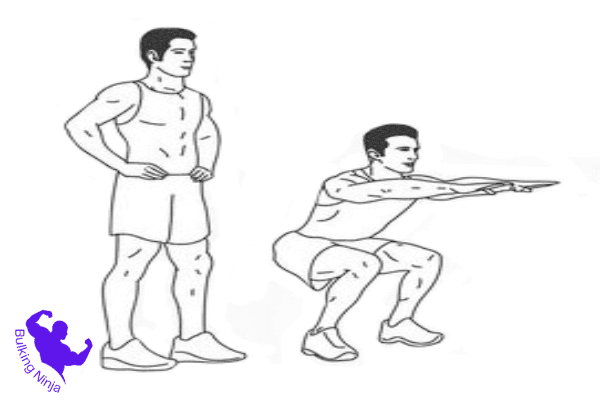 https://bulkingninja.com/what-are-squats-exercise-benefits-for-beginners/<br />
