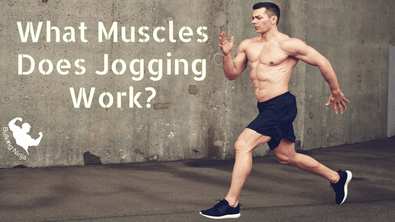 What Muscles Does Jogging Work? Best guide for gain muscles without Equipment 2023