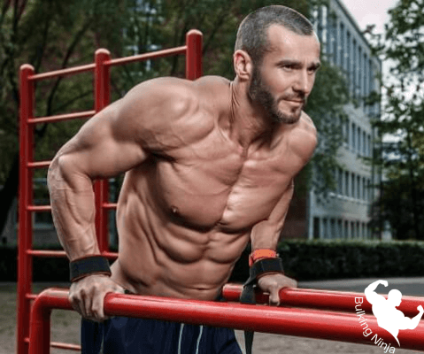 https://bulkingninja.com/dips-exercises-are-good-for-grow-chest-and-triceps-muscles/