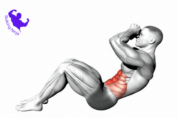 https://bulkingninja.com/can-you-gain-six-pack-with-sit-ups/