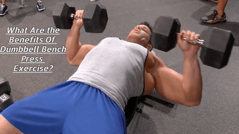 What are the Benefits of Dumbbell Bench Press Exercise? Best Guide for Beginners 2023