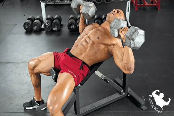 https://bulkingninja.com/what-are-the-benefits-of-dumbbell-bench-press-exercise/